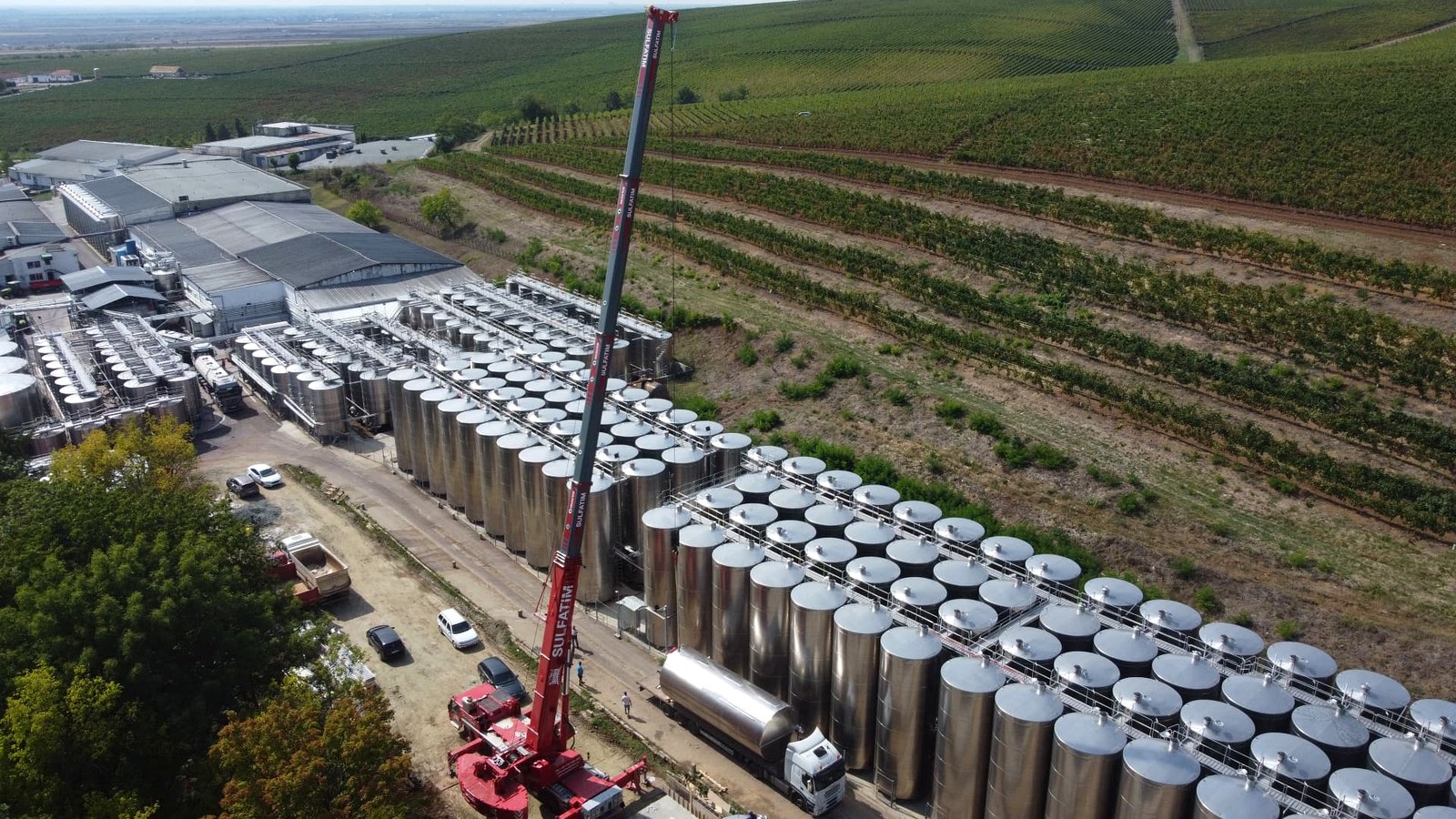 Cramele Recas: Macaraua Liebherr in lucru pe platforma cramei, intre halele de productie si vii.
