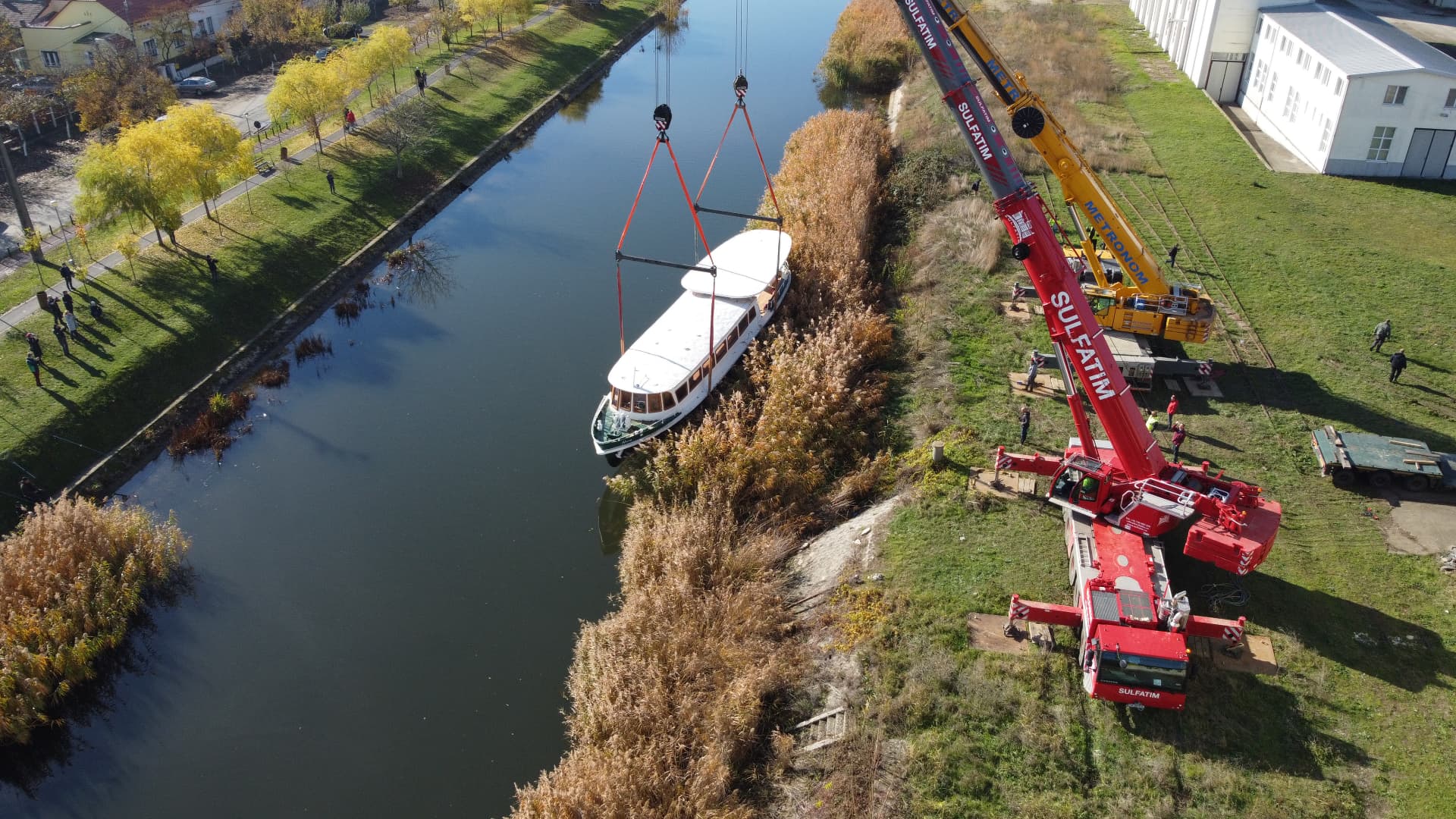 Operatiunea Pelicanul, Timisoara